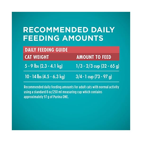 Purina ONE Dry Cat Food, Salmon & Tuna Flavor, 16-Pound Bag by – Bild 12