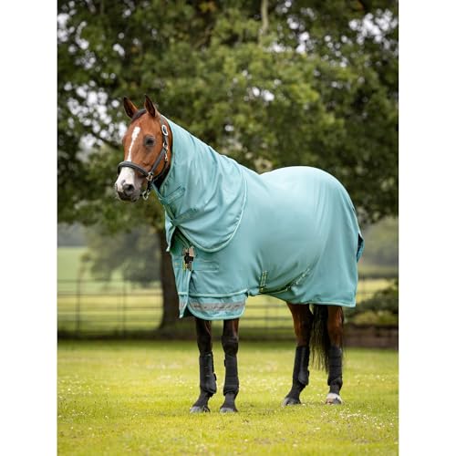 Alfombra LeMieux Arika Ripstop 0g color laguna para caballos