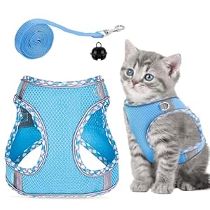 GOTRUST Cat Harness and Lead Set, Breathable Mesh Kitten Harness, Adjustable Escape-Proof Cat Vest with Leash, Reflective Pet Harness for Small Animals Rabbit Cats Puppy – Blue