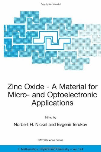 Zinc Oxide - A Material for Micro- and Optoelectronic Applications: Proceedings of the NATO Advanced Research Workshop on Zinc Oxide as a Material for ... and Chemistry Book 194) (English Edition)