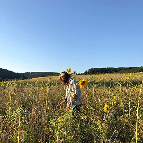 Kasi & Inverted Mind