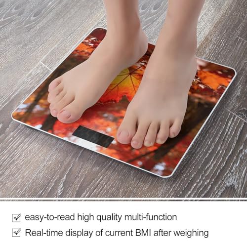 Báscula Digital Precisa de 180 kg con Pantalla LCD Grande miniatura 5