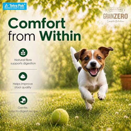 Image of Grain Zero Dog Fresh Food Tetra Pak Real Chicken & Vegetables, for Adult & Puppy, 350g | Supports Joint & Health | Immune System | Anti Inflammatory Properties | Ready to Serve | One Pack One Meal