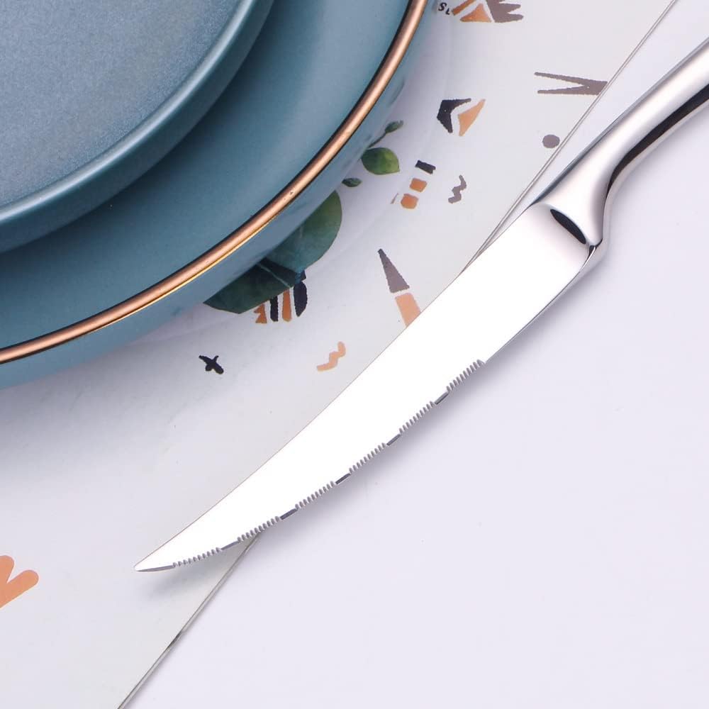 Silverware Set for 12 Delicate 18/10 Stainless Steel Heavy Flatware Set Nice Weight 60 Piece Include Knives Forks and Spoons Set Cutlery Utensils Set for Home Kitchen Mirror Polished