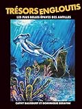 Trésors Engloutis: Les plus belles épaves des Antilles
