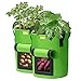 Produktbild SIMBOOM Pflanzsack 2 Stück Kartoffel Pflanzen Tasche, Pflanzbeutel aus Vliesstoff Atmungsakti Wachsende Tasche mit Sichtfenster und Griffen für Tomaten, Blumen, Pflanzen Grün - 7 Gallonen (27 L)