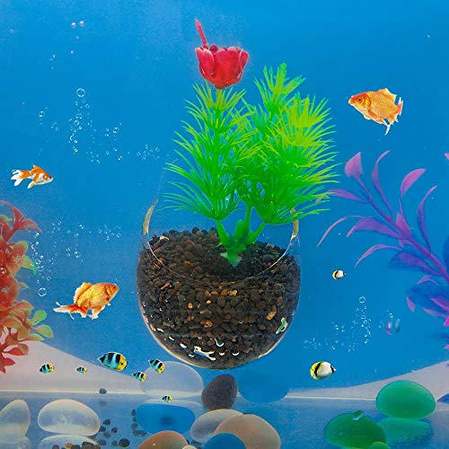 2 Stück Aquarium Pflanzenhalter Mit Saugnapf - Transparente Pflanzentöpfe
