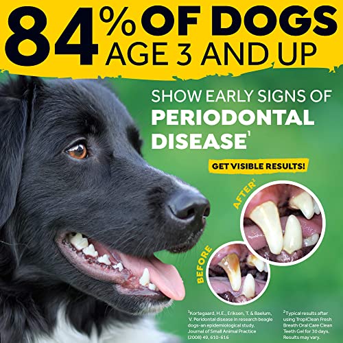 Tropiclean Fresh Breath For Dogs | No Brush Dental Gel For Dogs | Dog Dental Gel & Toothpaste For Plaque, Tartar & Stinky Breath | Made In The Usa | 2 Oz #TOP4