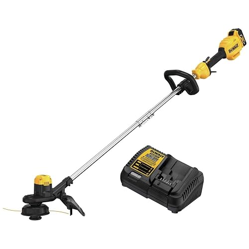 DEWALT DCST925M1R MAX Lithium-Ion Cordless . product photo (Cordless Tool Kits) — ScooterReviewPro review