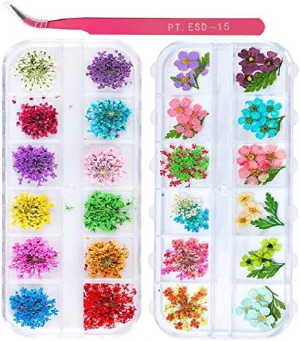 2 Boxes Nail Art Dried Flowers,UNIME 24 Colors Mini Real Natural ...