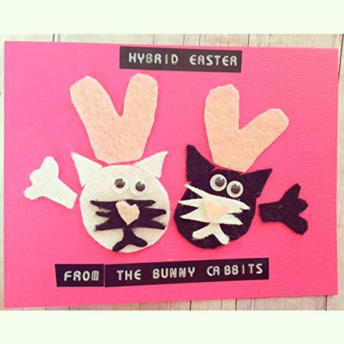 Hybrid Easter From The Bunny Cabbits With Bunny Ears Easter