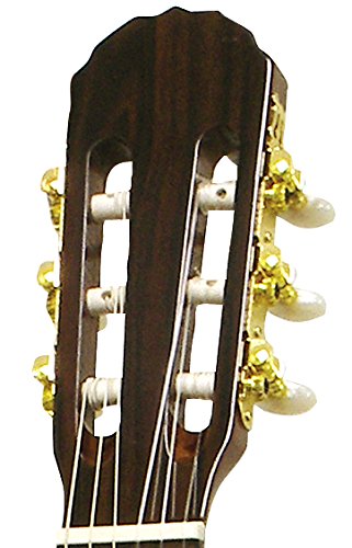 アコースティックギター　kaedeeera mt0152957_m.jpg