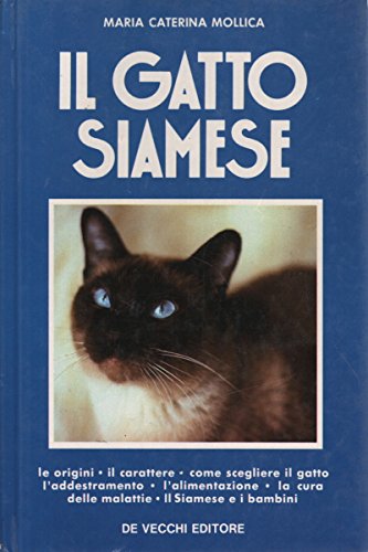  Il gatto siamese