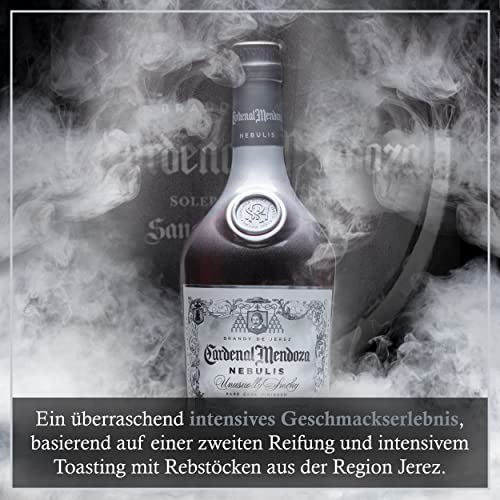Cardenal Mendoza Nebulis Brandy de Jerez,Rare Cask Finished,(1x0,7l)40Prozent vol-Vielfach prämierter Premium Weinbrand in hochwertiger Geschenkbox,handwerkliches Erzeugnis mit begrenzter Produktion