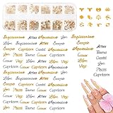 672Pcs Zodiac Nail Charms- Gold & Siliver Twelve Constellation Charms for Nail Art- Zodiac Word...