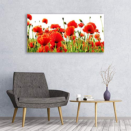 Tableau Mural Moderne pour Grand Mur Vide Impression sur Verre Acrylique