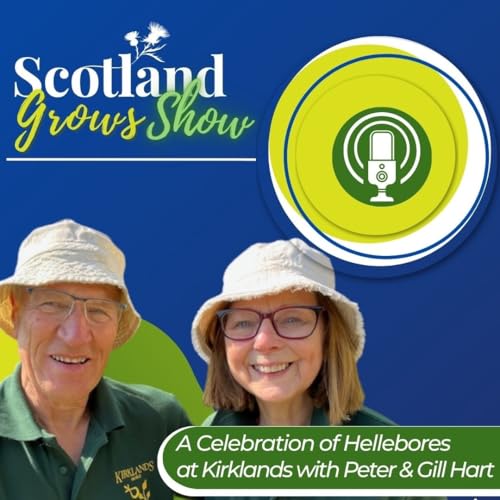 Scotland Grows Show S11 E5: A Celebration of Hellebores at Kirklands with Peter and Gill Hart