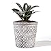 POTEY Cement Plant Pots Concrete Flower Planters Medium Pot with Drain Hole Flower Cylinder Bronze
