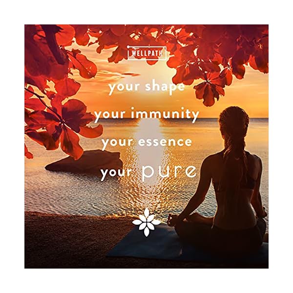 WellPath Pure ACV Apple Cider Vinegar Gummies with The Mother - USDA Organic Gummy - Vegan - Raw Apple Cider Vinegar with Mother Supplements - ACV Gummies - Weight, Digestion & Detox Support - 60 Ct