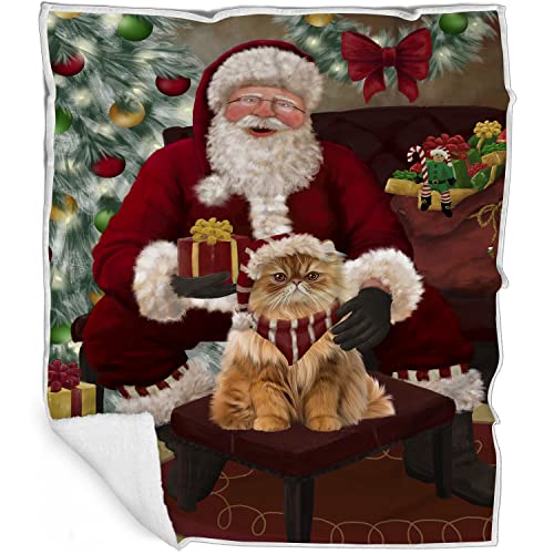 Doggie of the Day Persian Cat Blanket - Santa's Christmas Surprise - Super Soft & Warm Pet Theme for Sofa or Bed, Warm Fleece, Sherpa or Woven Material, BLNKT164241 (50x60 Woven)