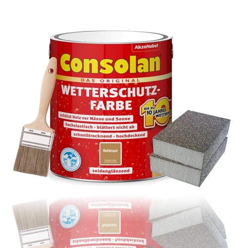 Consolan Kit de peinture de protection contre les intempéries - 2,5 l - Pour bois - Protection durable - Couvrant - Avec accessoires (marron rose)