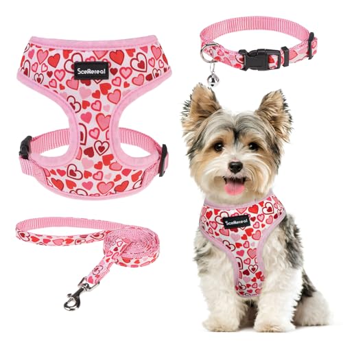 SCENEREAL Valentinstag-Welpengeschirr mit Halsband, Leine, Set für kleine Hunde, Rosa, XS
