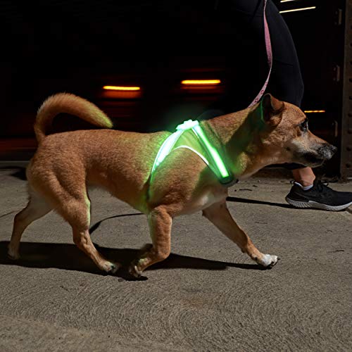 noxgear LightHound – Revolutionary Illuminated and Reflective Harness for Dogs Including Multicolored LED Fiber Optics (USB Rechargeable, Adjustable, Lightweight, Rainproof)