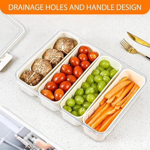 Image of VYOOx Fridge Storage Container with 4 Compartments & Lid | BPA Free Airtight Food Storage Box with Removable Divider Tray & Handle | Leak Proof Organizer for Fruits, Vegetables & Snacks (1 Pc)