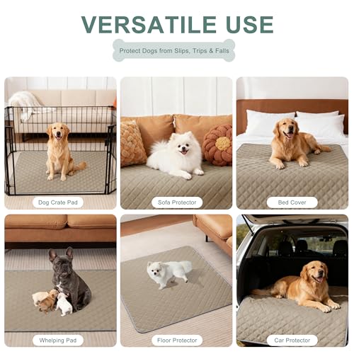 Image of Eterish Washable Pee Pads for Dogs Extra Large 48'' x 60'' 2 Pack | Reusable Absorbent Pet Puppy Dog Training Pads Non-Slip, Waterproof Whelping Potty Pads for Dogs Leak-Proof