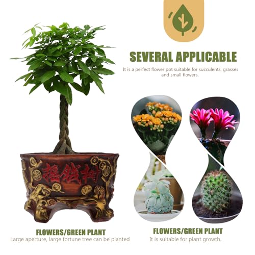 Pot de fleurs en céramique pour succulentes et arbre amulette rétro