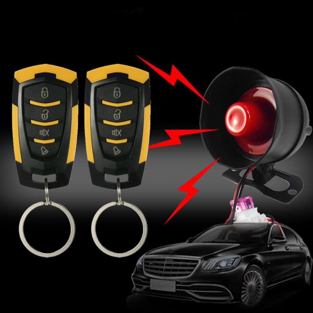 Riloer 12V Allarme auto universale Vibrazioni Sistema antifurto per auto Dispositivo per retrofit elettropneumatico Sistema di chiusura centrale, Accessori di allarme auto Protezione di sicurezza auto