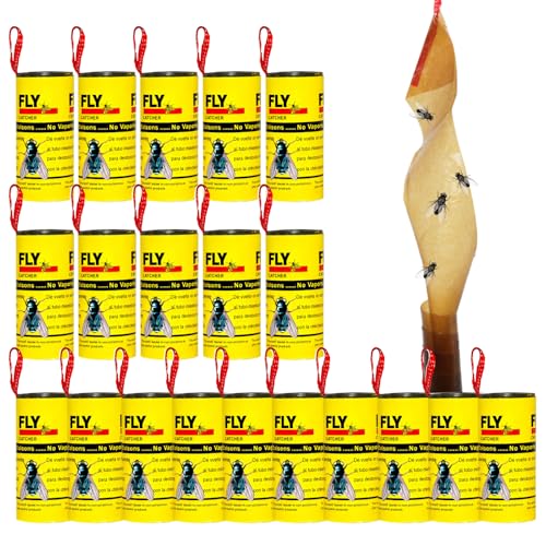 Frutilexia 20 Stück Fruchtfliegenfalle, Fliegenfalle...
