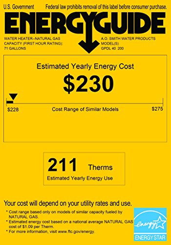 A.O. Smith GPDL-40 ProMax Power Direct-Vent Gas Water Heater, 40 gal