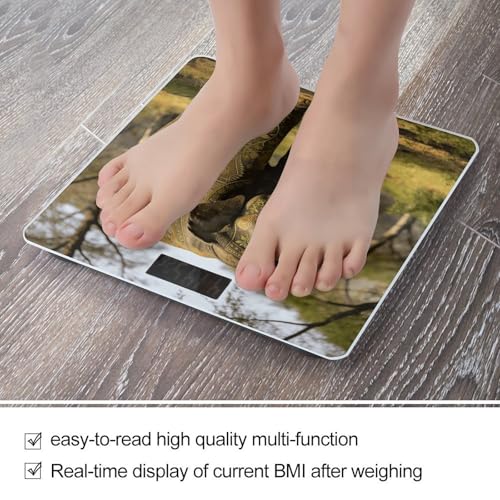 Báscula digital de baño con diseño de elefante y vidrio templado miniatura 5