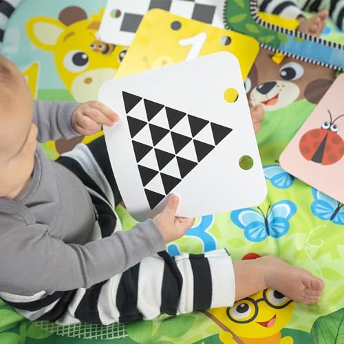 Image of Baby Einstein Discovery Garden Tummy Time Mat & Mirror, Ages 0-6 Months, Multisensory
