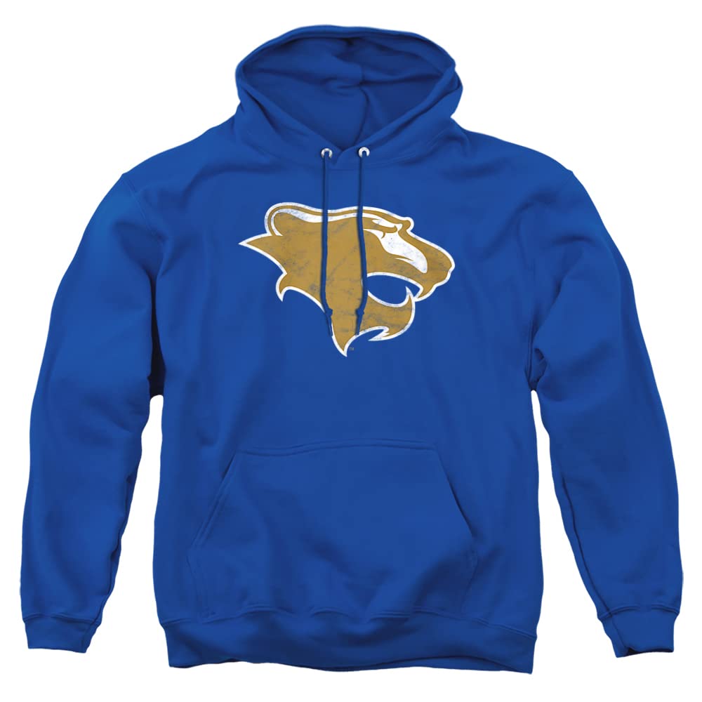 LOGOVISION Official Collegiate Distressed Primary Logo Adult Pullover Hoodie Collection — view 491