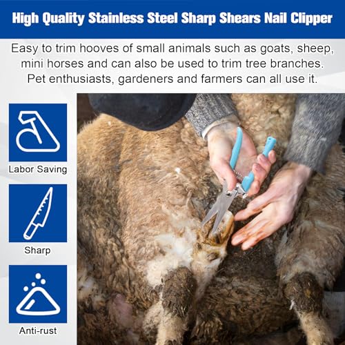 image for Solaradgy 10 Inch 8 Pcs Farrier Tools, Horse Goat Hoof Trimmers for Go
