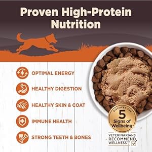   Wellness-Natural-Pet-Food-CORE-Natural-Wet-Grain-Free-Canned-Dog-Food-Turkey-Chicken-125-Ounce-Can-Pack-of-12