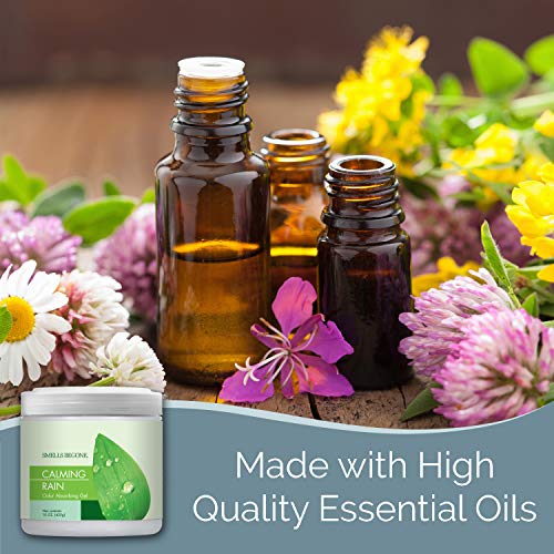 Smells Begone Gel Odor Eliminator