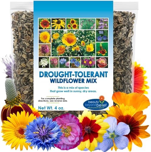 Drought Tolerant Wildflower Seeds - 4oz, Open-Pollinated Bulk Flower Seed Mix for Beautiful Perennial, Annual Garden Flowers - No Fillers - 4 oz Packet