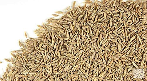 Satisfactory Nation Whole Cumin Seeds 200 gram Jeera Spice