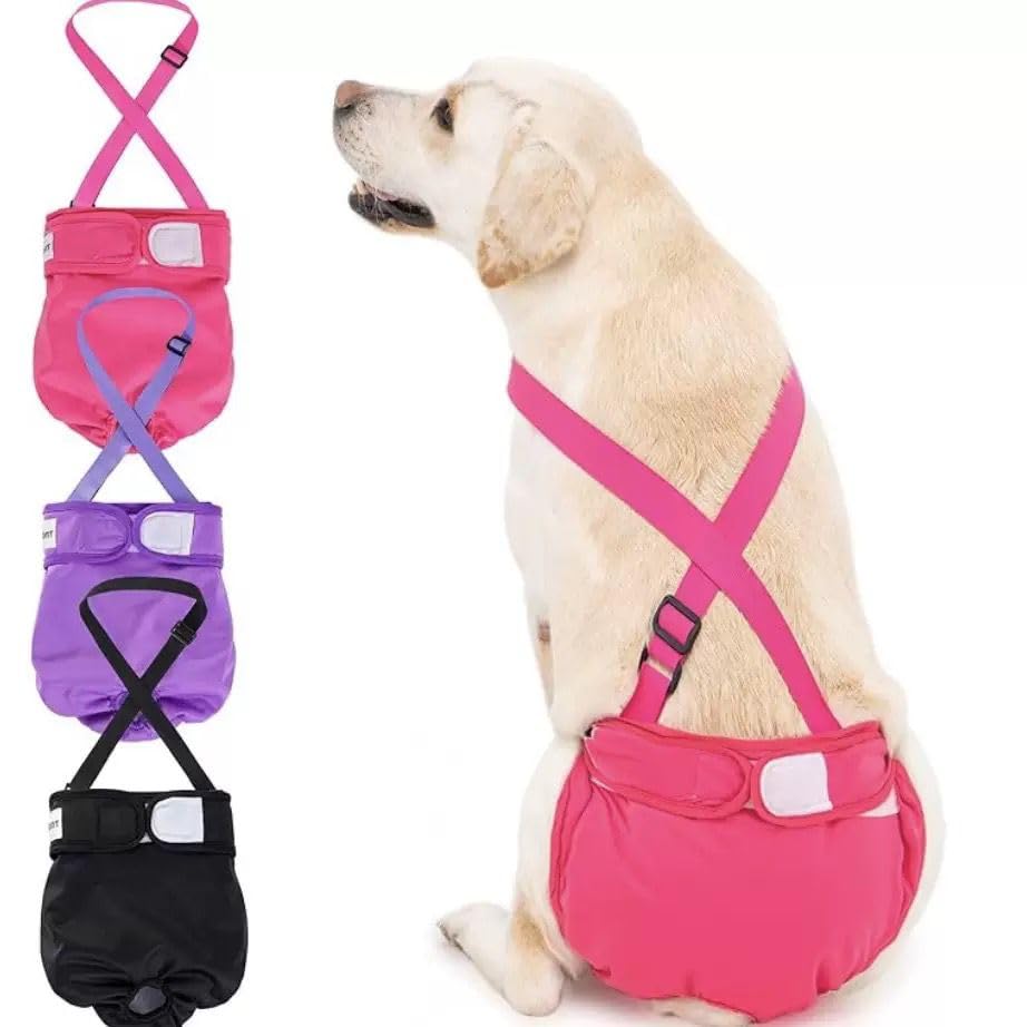 Couches réutilisables chien femelle taille M pour chaleurs et chiot