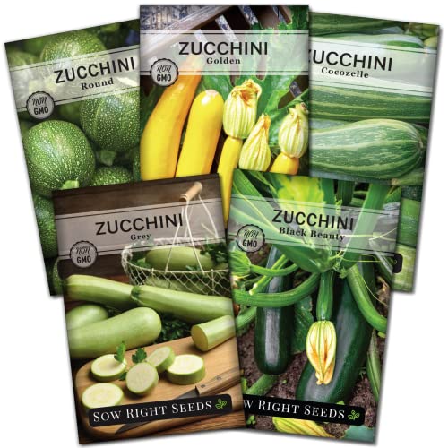 Sow Right Seeds - Zucchini Squash Seed Collection for Planting - Black Beauty, Grey, Round, Golden, and Cocozelle - Non-GMO Heirloom Packet to Plant a Vegetable Garden - Productive Summer Squash