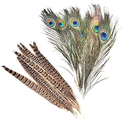 Skyzone 10PCS Natural Pheasant Feathers Pheasant Tails and 10PCS Real Natural Peacock Feathers for Hair Hats DIY Craft,Home Christmas Wedding Party Decoration Cosply Props 10-12" (25~30cm) Cover