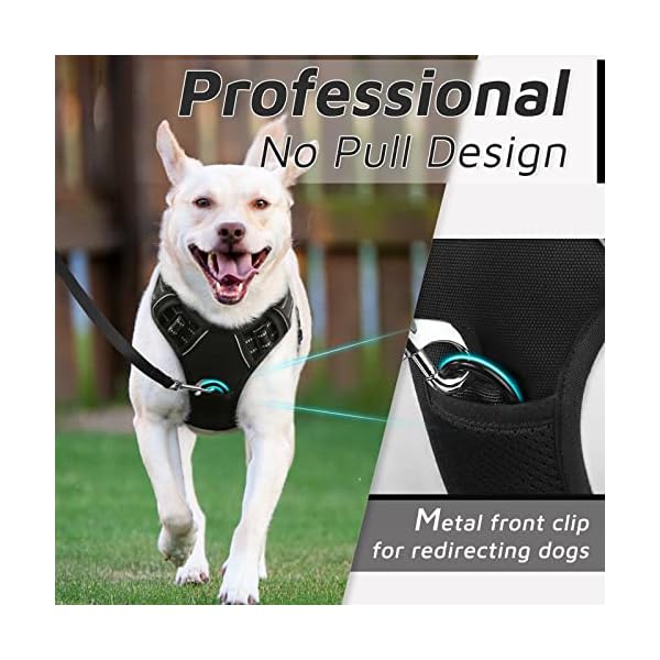 Eagloo Dog Harness No Pull, Walking Pet Harness with 2 Metal Rings and Handle, Adjustable Reflective Breathable Oxford Soft Vest Easy Control Harness for Small Medium Large Dogs, Black, L Eagloo Dog Harness No Pull, Walking Pet Harness with 2 Metal Rings and Handle, Adjustable Reflective Breathable Oxford Soft Vest Easy Control Harness for Small Medium Large Dogs, Black, L