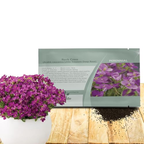Outsidepride Deep Rose Arabis Seeds