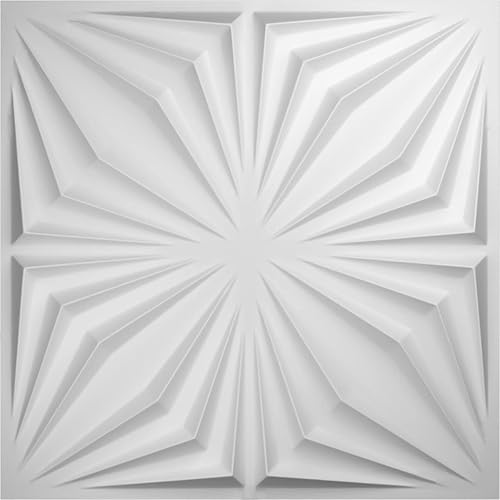 Ekena Millwork WP20X20AHWH-CASE-50 19 58 pulgadas de ancho x 19 58 pulgadas de alto, Asher EnduraWall Decorativo 3D Panel de pared cubre 133.73 pies