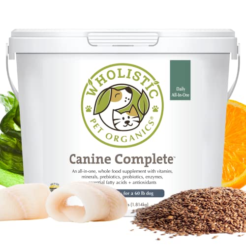 Say Goodbye to IBD 10 Homemade Dog Foods You Need to Try Today