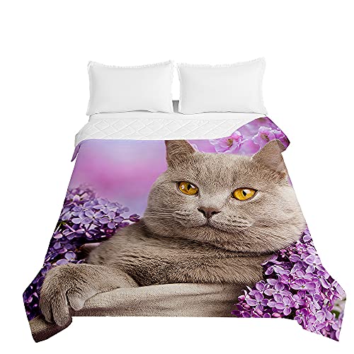 Oduo Colcha Bouti Cama de Verano, 3D Microfibra Cubrecama Multiusos Suave para Cama de Matrimonio, Lavable Acolchada Edredón Ligero Manta para Todas Las Estaciones (Lila Morado,230x260cm)