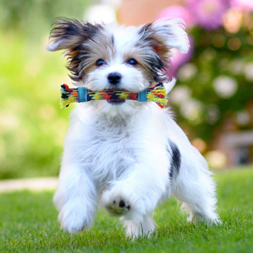 rocket & rex 4-Pack Dog Rope Toys | Small Breeds and Puppies | Puppy Rope Toy and Rope Toys for Small Dogs | Rope Toy Set with Rubber and Crackle for Added Chewing Fun | Dog Stocking Stuffer rocket & rex 4-Pack Dog Rope Toys | Small Breeds and Puppies | Puppy Rope Toy and Rope Toys for Small Dogs | Rope Toy Set with Rubber and Crackle for Added Chewing Fun | Dog Stocking Stuffer